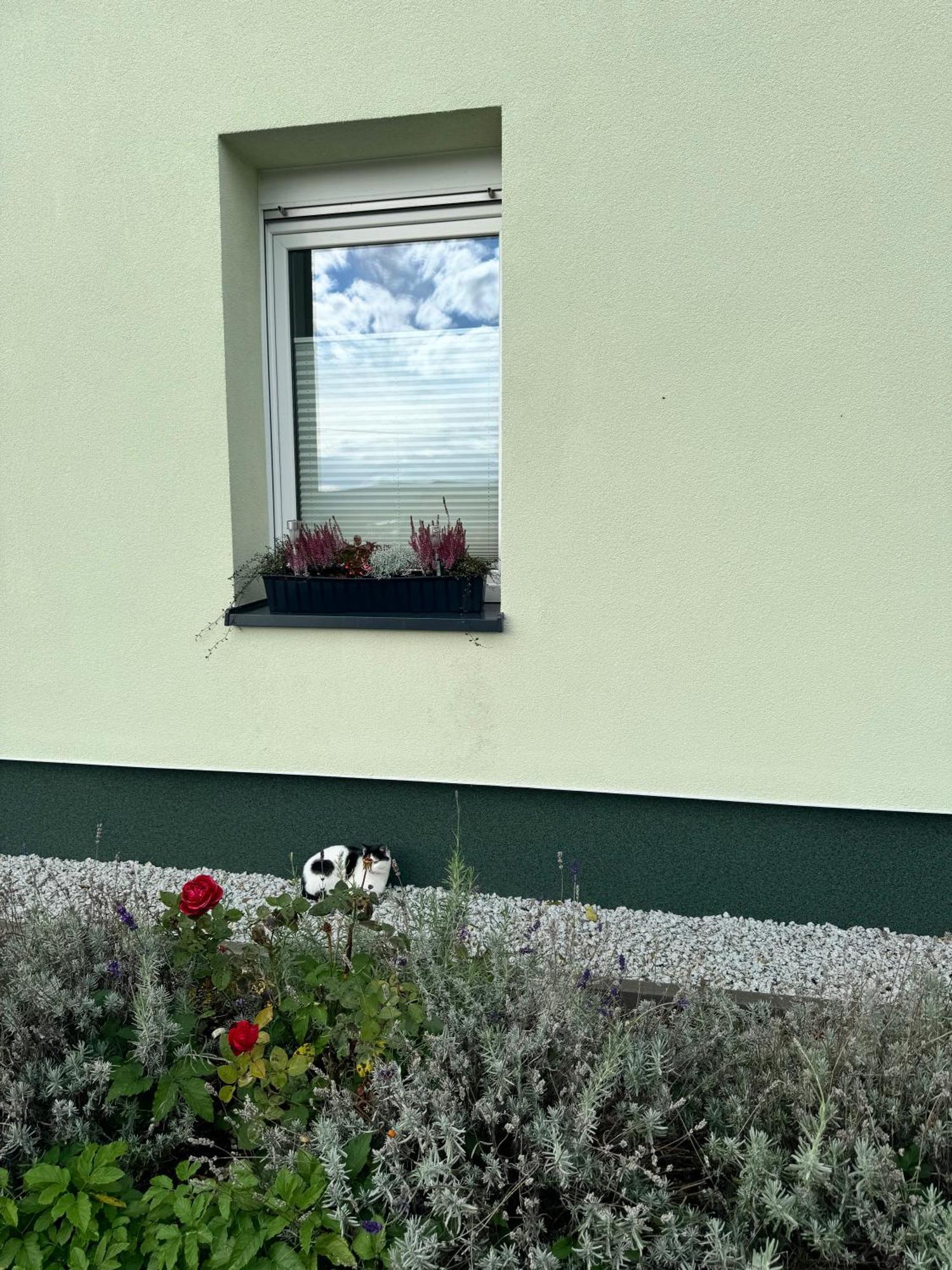 Viridi Lejlighed Radomierz Eksteriør billede